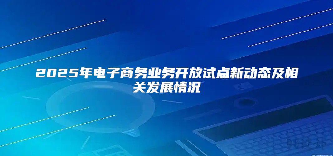 2025年电子商务业务开放试点新动态及相关发展情况