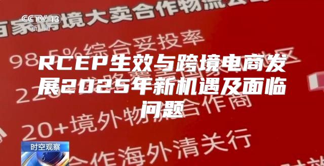 RCEP生效与跨境电商发展2025年新机遇及面临问题