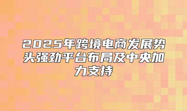 2025年跨境电商发展势头强劲平台布局及中央加力支持