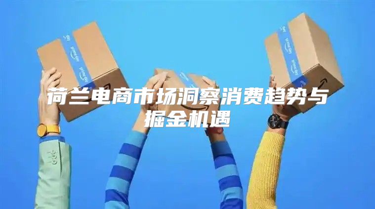 荷兰电商市场洞察消费趋势与掘金机遇