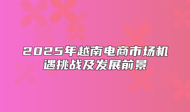 2025年越南电商市场机遇挑战及发展前景