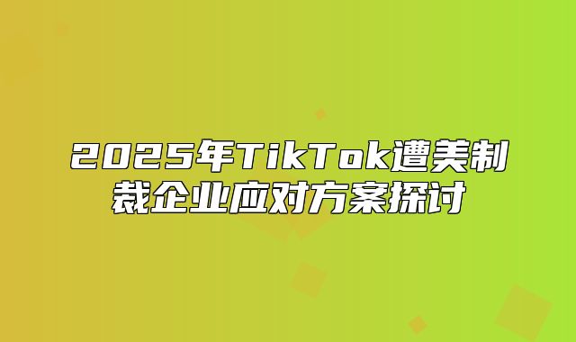 2025年TikTok遭美制裁企业应对方案探讨