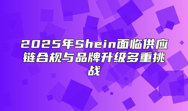 2025年Shein面临供应链合规与品牌升级多重挑战