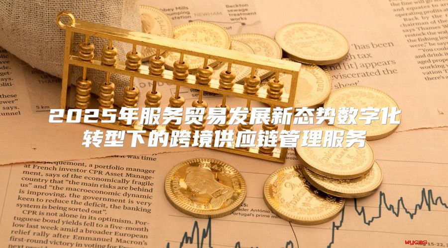 2025年服务贸易发展新态势数字化转型下的跨境供应链管理服务