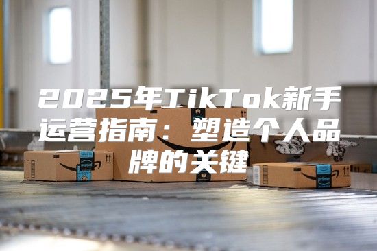 2025年TikTok新手运营指南：塑造个人品牌的关键
