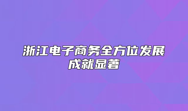 浙江电子商务全方位发展成就显著