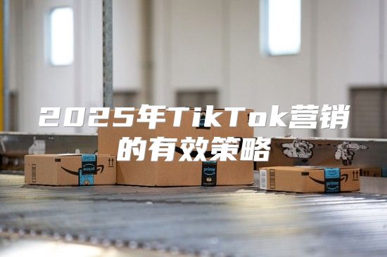 2025年TikTok营销的有效策略