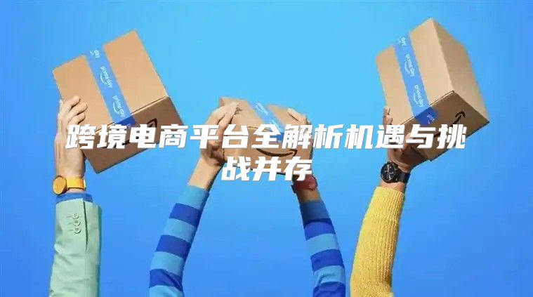 跨境电商平台全解析机遇与挑战并存