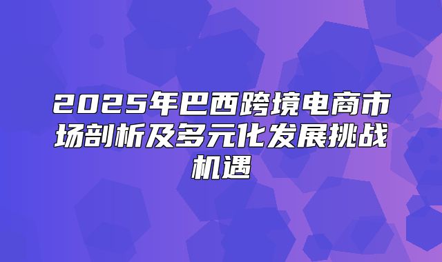 2025年巴西跨境电商市场剖析及多元化发展挑战机遇