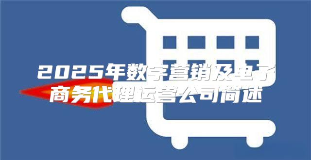 2025年数字营销及电子商务代理运营公司简述
