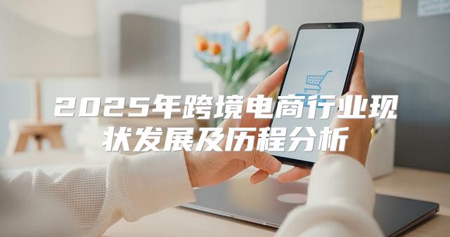 2025年跨境电商行业现状发展及历程分析