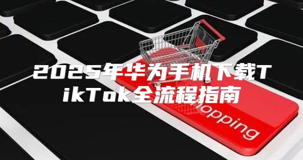 2025年华为手机下载TikTok全流程指南