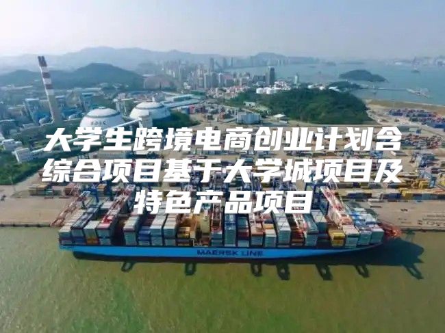 大学生跨境电商创业计划含综合项目基于大学城项目及特色产品项目