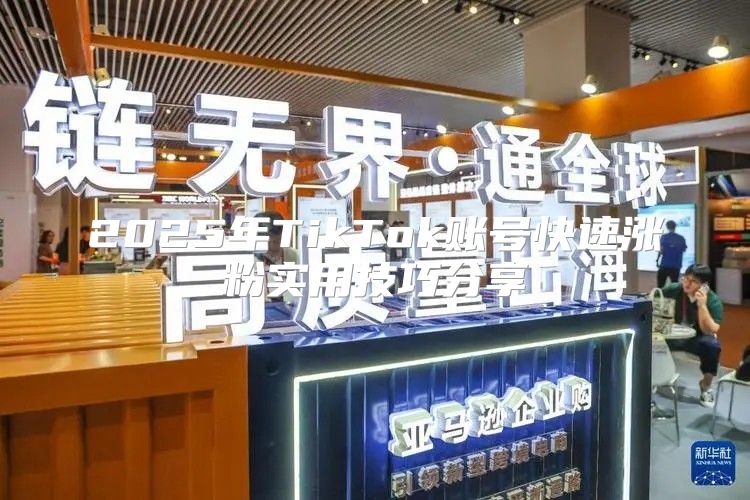 2025年TikTok账号快速涨粉实用技巧分享