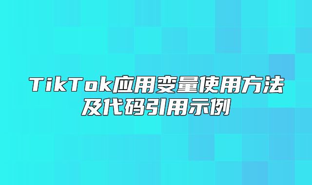 TikTok应用变量使用方法及代码引用示例