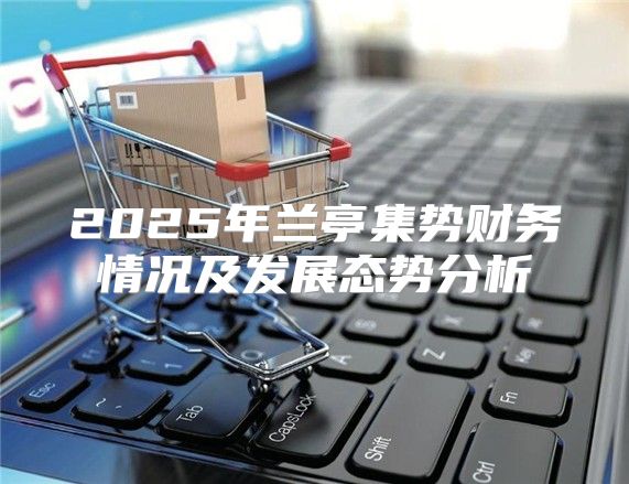 2025年兰亭集势财务情况及发展态势分析