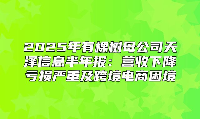 2025年有棵树母公司天泽信息半年报：营收下降亏损严重及跨境电商困境
