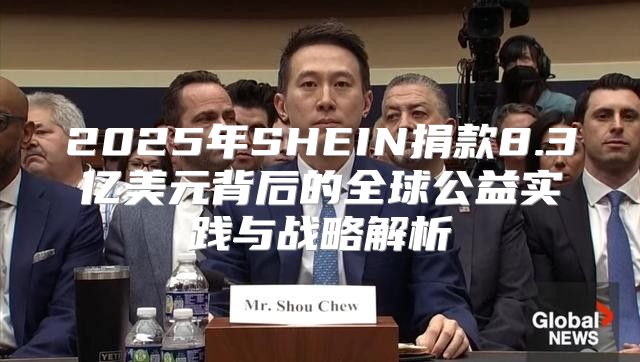 2025年SHEIN捐款8.3亿美元背后的全球公益实践与战略解析