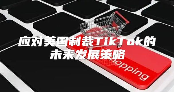 应对美国制裁TikTok的未来发展策略