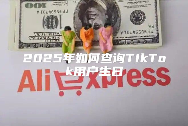 2025年如何查询TikTok用户生日