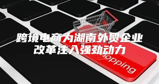 跨境电商为湖南外贸企业改革注入强劲动力