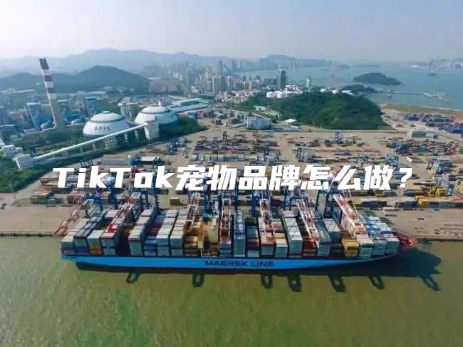 TikTok宠物品牌怎么做？