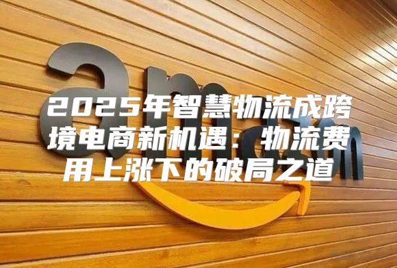 2025年智慧物流成跨境电商新机遇：物流费用上涨下的破局之道