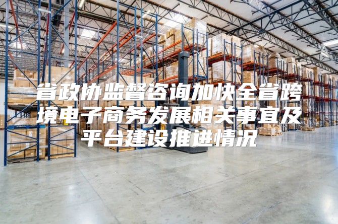 省政协监督咨询加快全省跨境电子商务发展相关事宜及平台建设推进情况