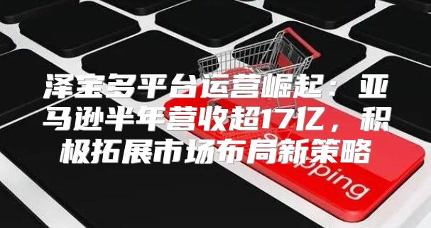 泽宝多平台运营崛起：亚马逊半年营收超17亿，积极拓展市场布局新策略