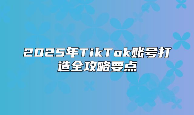 2025年TikTok账号打造全攻略要点