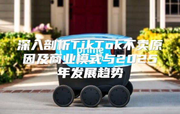 深入剖析TikTok不卖原因及商业模式与2025年发展趋势