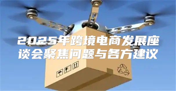 2025年跨境电商发展座谈会聚焦问题与各方建议