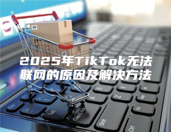 2025年TikTok无法联网的原因及解决方法