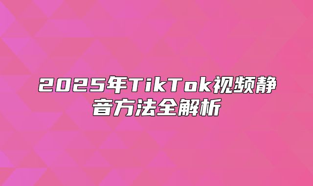 2025年TikTok视频静音方法全解析