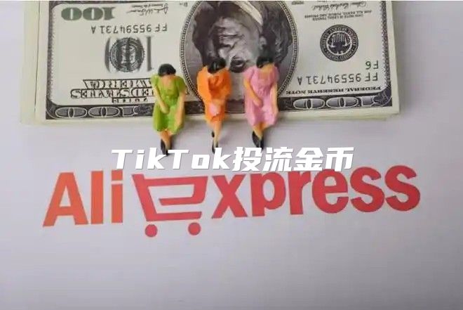 TikTok投流金币