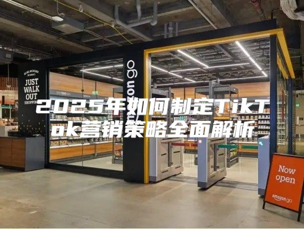 2025年如何制定TikTok营销策略全面解析