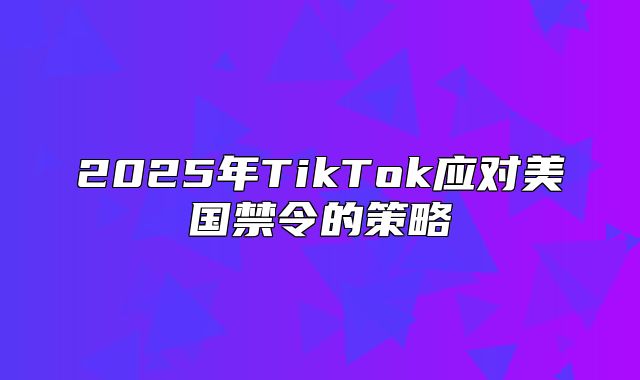2025年TikTok应对美国禁令的策略