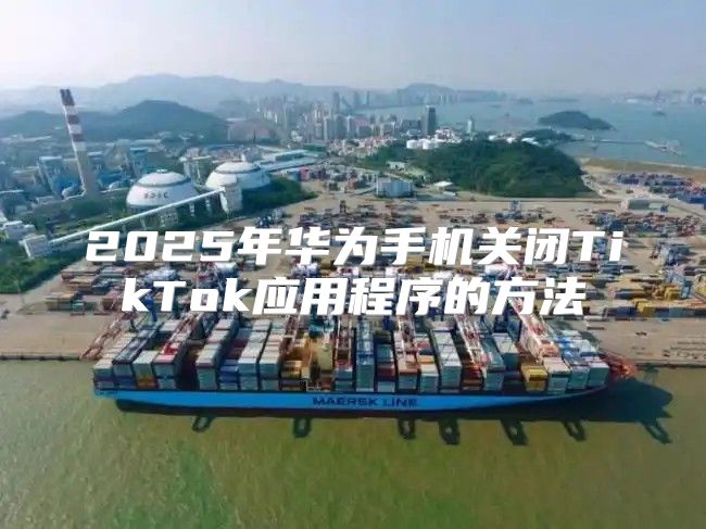 2025年华为手机关闭TikTok应用程序的方法