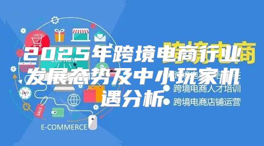 2025年跨境电商行业发展态势及中小玩家机遇分析