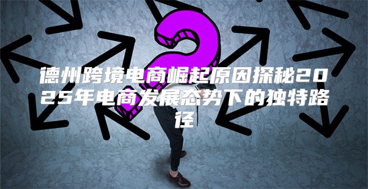 德州跨境电商崛起原因探秘2025年电商发展态势下的独特路径