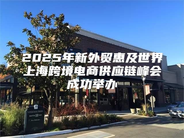 2025年新外贸惠及世界上海跨境电商供应链峰会成功举办