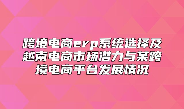 跨境电商erp系统选择及越南电商市场潜力与某跨境电商平台发展情况