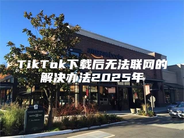 TikTok下载后无法联网的解决办法2025年