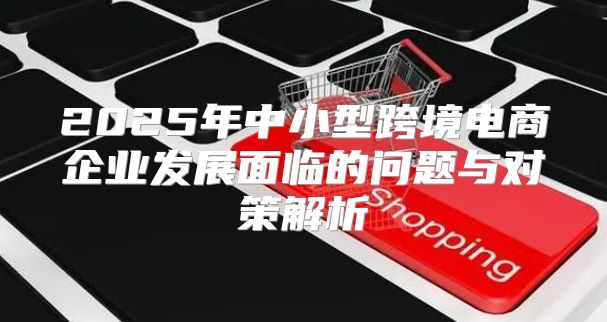 2025年中小型跨境电商企业发展面临的问题与对策解析