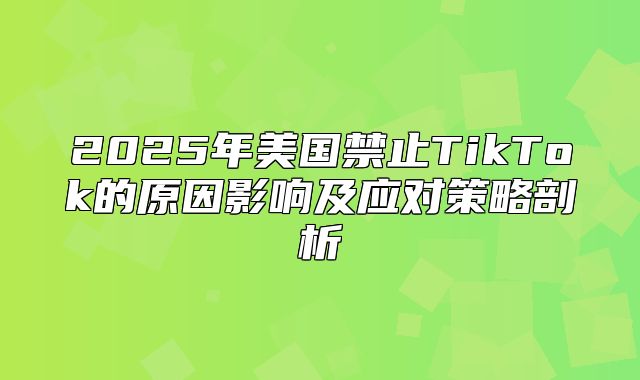 2025年美国禁止TikTok的原因影响及应对策略剖析