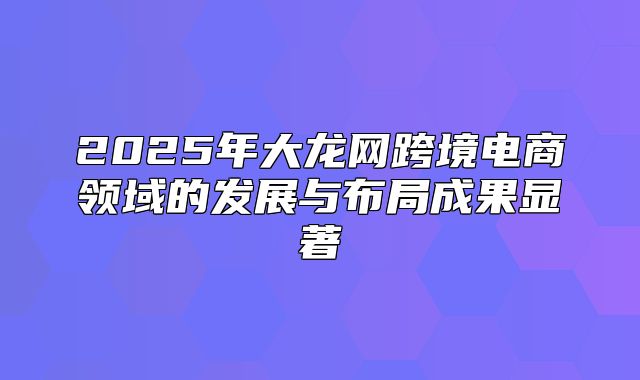2025年大龙网跨境电商领域的发展与布局成果显著