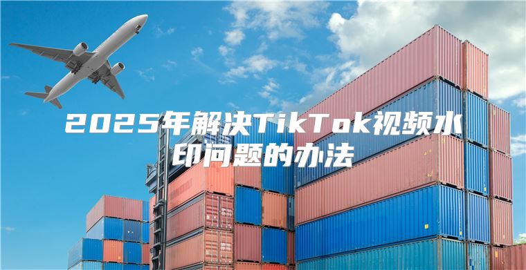 2025年解决TikTok视频水印问题的办法