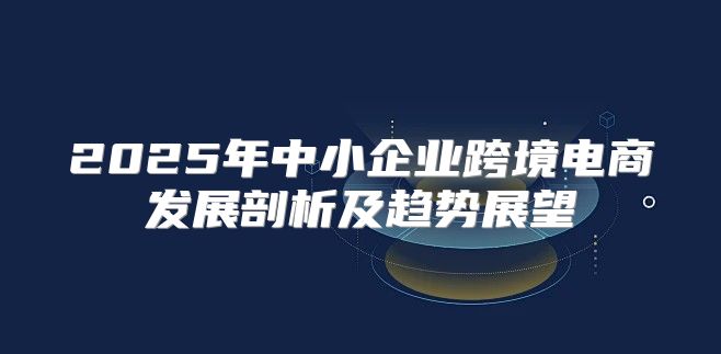 2025年中小企业跨境电商发展剖析及趋势展望