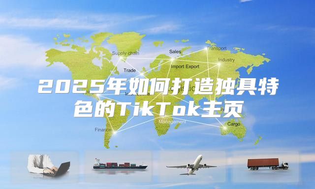 2025年如何打造独具特色的TikTok主页
