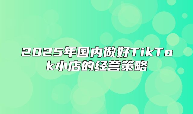 2025年国内做好TikTok小店的经营策略
